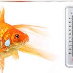 دما آب آکواریوم (Aquarium Water Temperature)